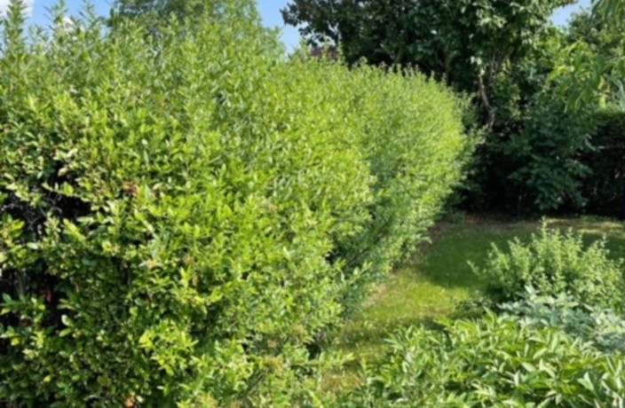 Beispielarbeit von SGS Sari GartenService Dienstleistung - veröffentlicht auf Gartenbau.org