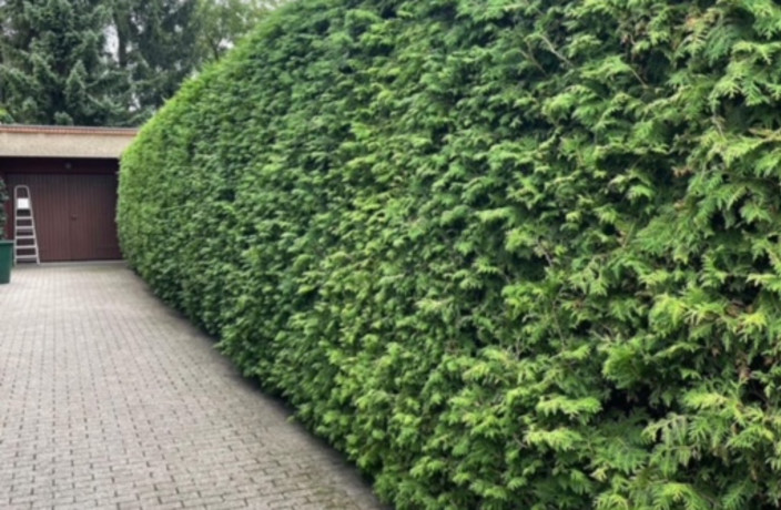 Beispielarbeit von SGS Sari GartenService Dienstleistung - veröffentlicht auf Gartenbau.org