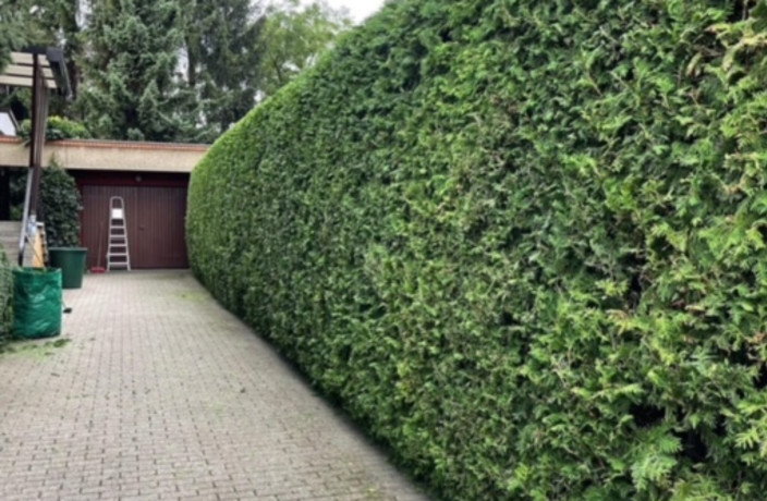 Beispielarbeit von SGS Sari GartenService Dienstleistung - veröffentlicht auf Gartenbau.org