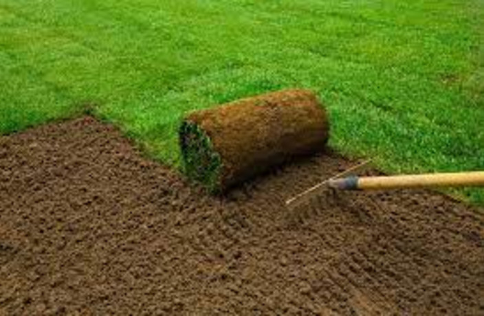 Beispielarbeit von Kunze Gartengestaltung Naturschutz - veröffentlicht auf Gartenbau.org