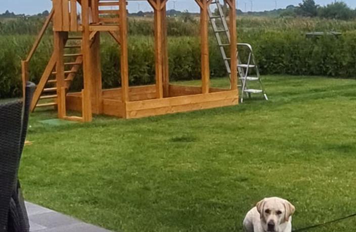 Beispielarbeit von Coordes u. Thomßen GbR Haushaltsnahe Dienst u. Handwerksleistungen - veröffentlicht auf Gartenbau.org