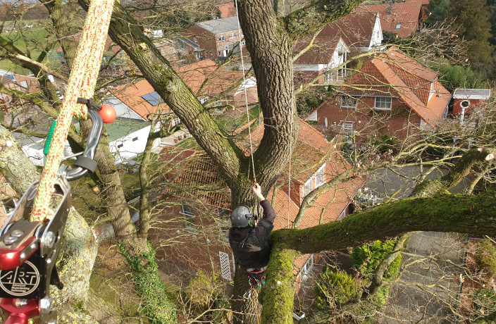 Beispielarbeit von DK-Garten- und Landschaftsbau - veröffentlicht auf Gartenbau.org