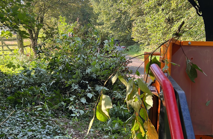 Beispielarbeit von DK-Garten- und Landschaftsbau - veröffentlicht auf Gartenbau.org