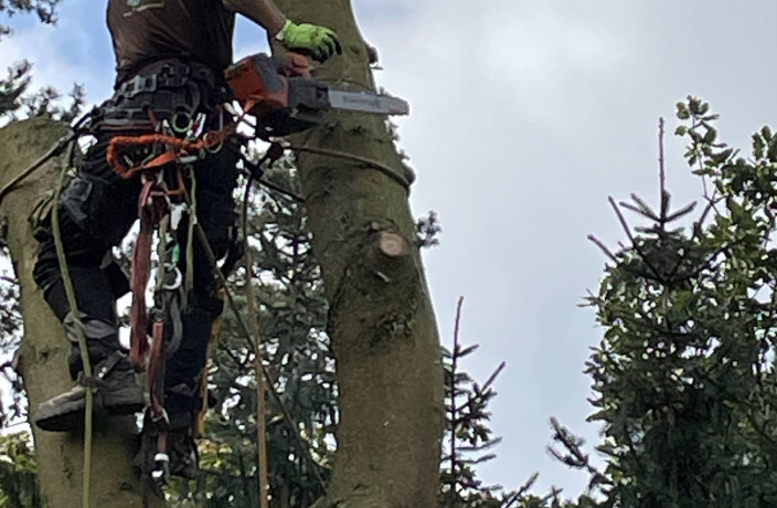 Beispielarbeit von DK-Garten- und Landschaftsbau - veröffentlicht auf Gartenbau.org