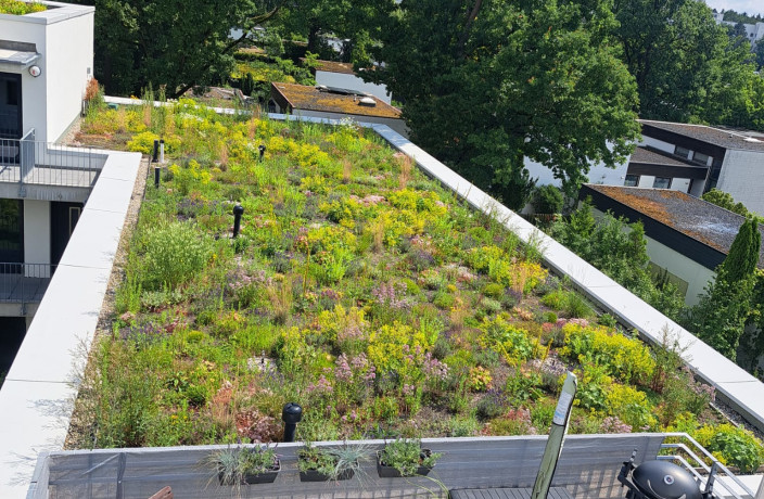 Beispielarbeit von FRANKENGRÜN Grünanlagenbau - veröffentlicht auf Gartenbau.org