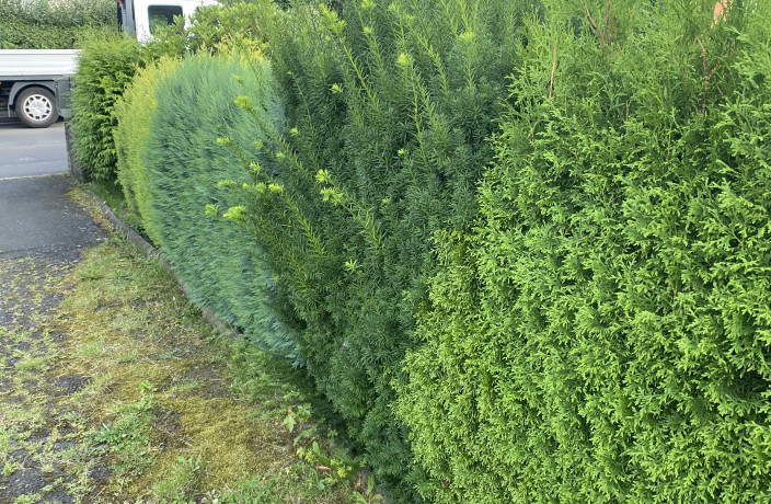 Beispielarbeit von Bernd Scheidhauer Garten- und Landschaftbau - veröffentlicht auf Gartenbau.org