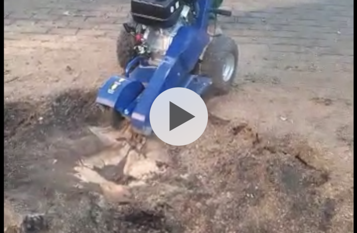 Beispielarbeit von Bernd Scheidhauer Garten- und Landschaftbau - veröffentlicht auf Gartenbau.org