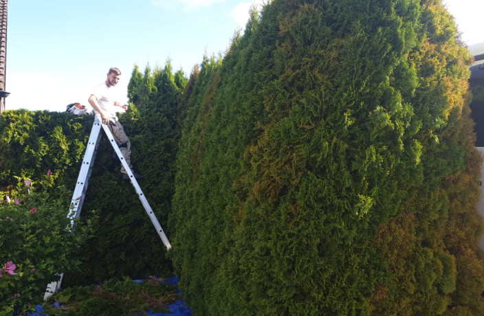 Beispielarbeit von Brandscheid Gartenpflege - veröffentlicht auf Gartenbau.org