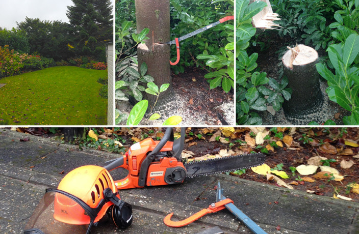 Beispielarbeit von Gartenzauber Neuwied - veröffentlicht auf Gartenbau.org