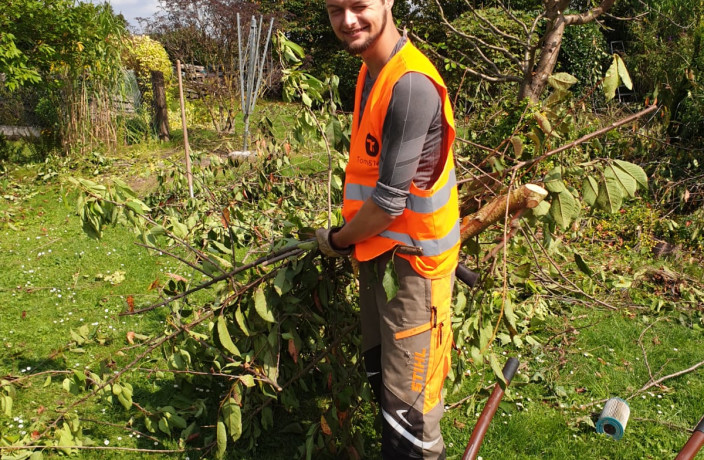 Beispielarbeit von TomundTeam Baum und Garten - veröffentlicht auf Gartenbau.org