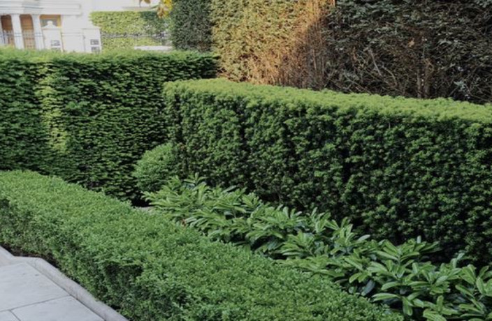 Beispielarbeit von MSM Garten und Landschaft GbR - veröffentlicht auf Gartenbau.org