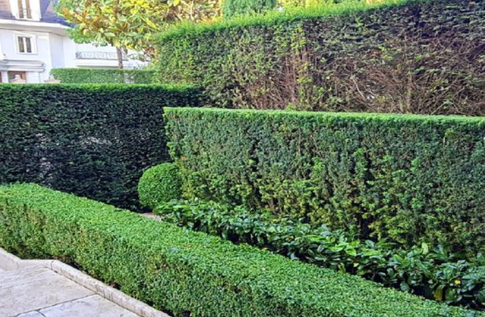 Beispielarbeit von MSM Garten und Landschaft GbR - veröffentlicht auf Gartenbau.org