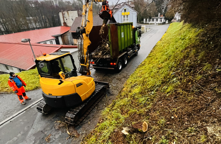 Beispielarbeit von Nico Wallasch Forst- und Gartenpflege - veröffentlicht auf Gartenbau.org