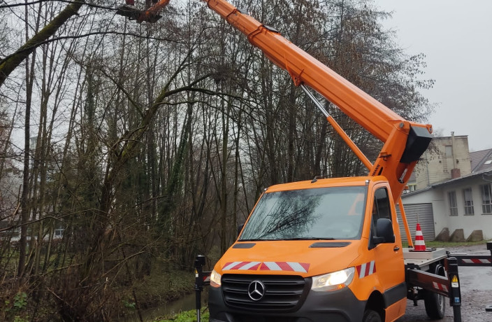 Beispielarbeit von Nico Wallasch Forst- und Gartenpflege - veröffentlicht auf Gartenbau.org