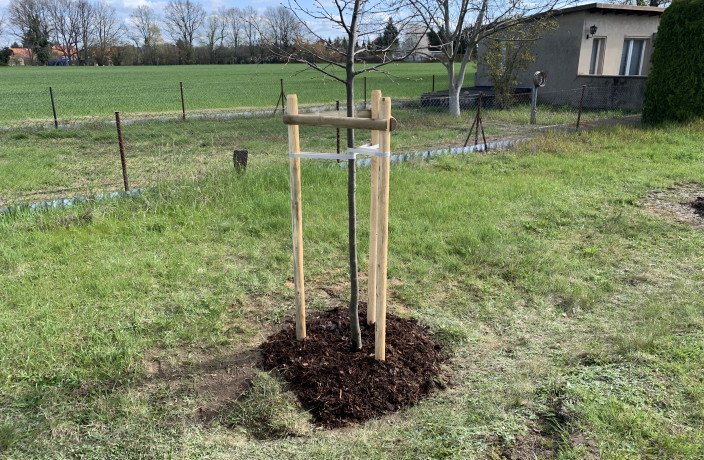 Beispielarbeit von BFM Baugewerbe & Facility Management - veröffentlicht auf Hausmeisterdienste.net