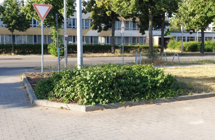 Beispielarbeit von BFM Baugewerbe & Facility Management - veröffentlicht auf Hausmeisterdienste.net