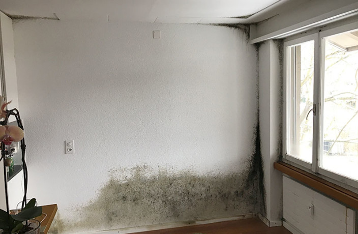 Beispielarbeit von BSVI Bausachverständigen Büro - veröffentlicht auf Gutachter.org