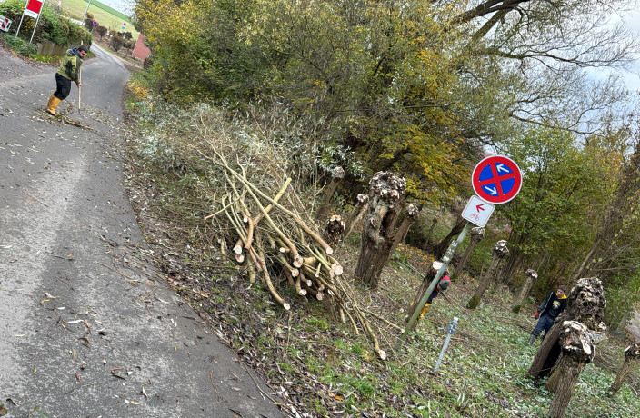 Beispielarbeit von MM Garten und Landschaftsbau GmbH - veröffentlicht auf Gartenbau.org