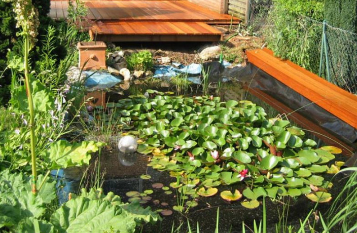 Beispielarbeit von Josef Ohlenhard Gartengestaltung - veröffentlicht auf Gartenbau.org