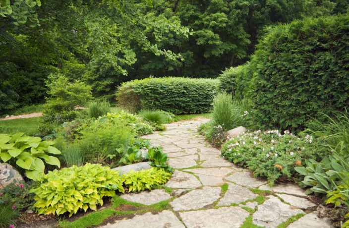 Beispielarbeit von Schneider Garten- und Landschaftsbau - veröffentlicht auf Gartenbau.org