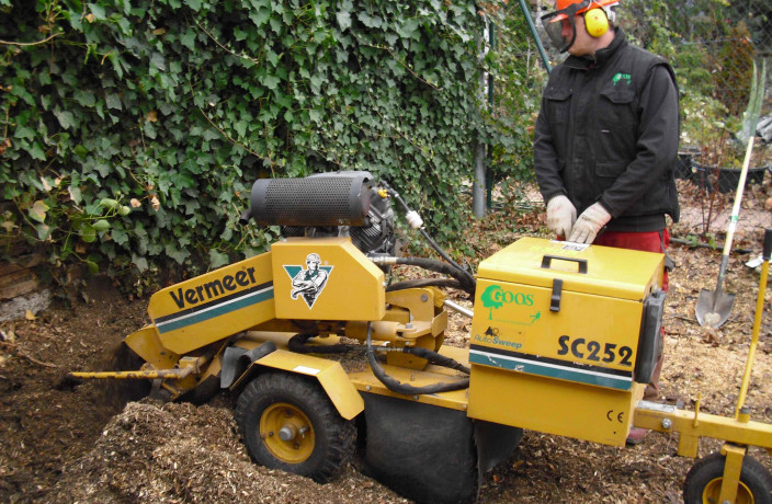 Beispielarbeit von Jörg Goos Baumpflege und Gartengestaltung - veröffentlicht auf Gartenbau.org