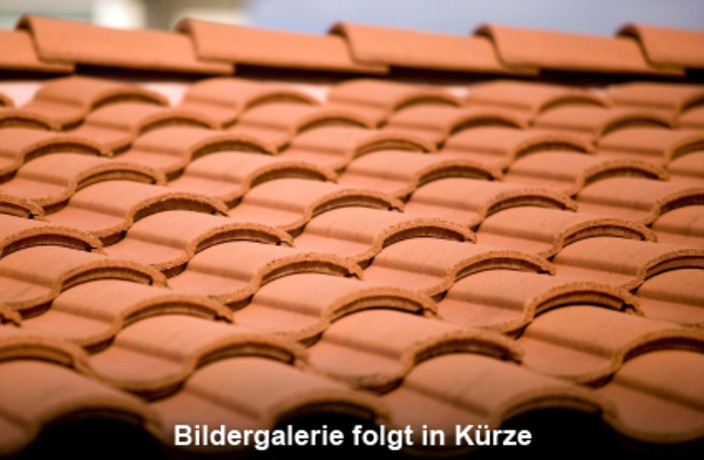 Beispielarbeit von Bernd Mueller Bedachung-Klempnerei-Sanitär-Heizung - veröffentlicht auf Dachdecker.com