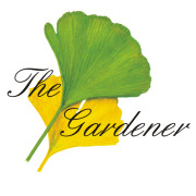 Wolfgang Lüttich Manfred Lüttich GbR Gartengestaltung in Altenstadt