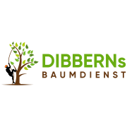 DIBBERNs Baumdienst – Ihr Baumpfleger in Hamburg in Hamburg