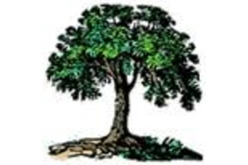 Logo der Firma Garten- und Landschaftsbau Stanislaw Karon aus Herxheim-Hayna auf dem Branchenportal Gartenbau.org