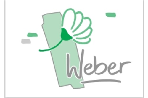 Logo der Firma Franz-Dirk Weber Garten- und Landschaftsbau aus Sinzig auf dem Branchenportal Gartenbau.org