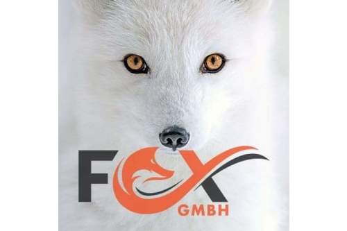 Logo der Firma Fox Malerbetrieb GmbH aus Bestensee auf dem Branchenportal Maler.org