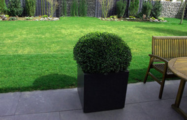 Garten u. Landschaftsbau Arnold in Boppard | Gartenbau.org