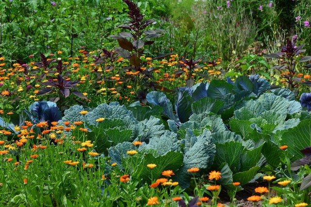 16+ Permakultur Garten Background