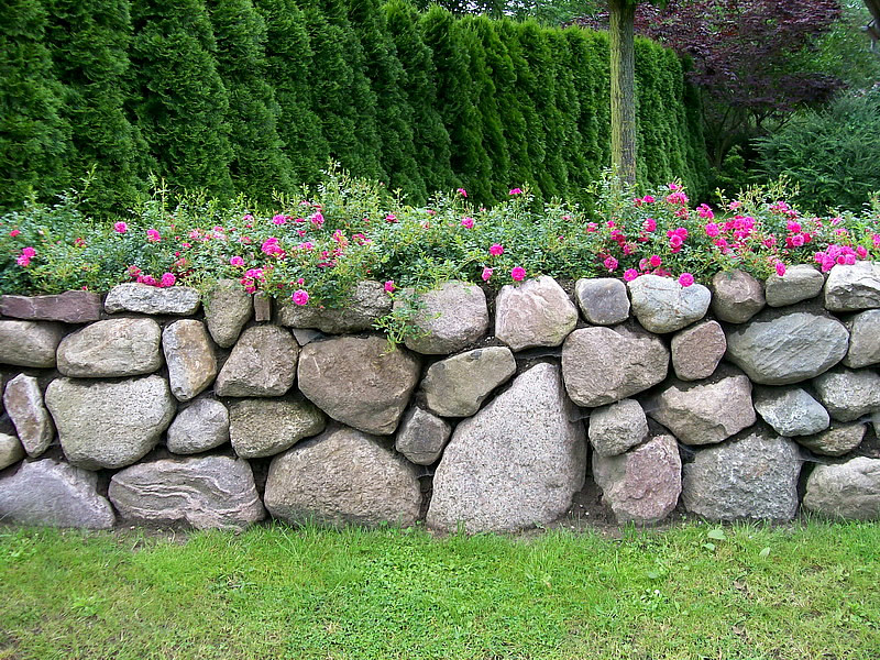 Gartenbauer In Lubeck Auf Gartenbau Org