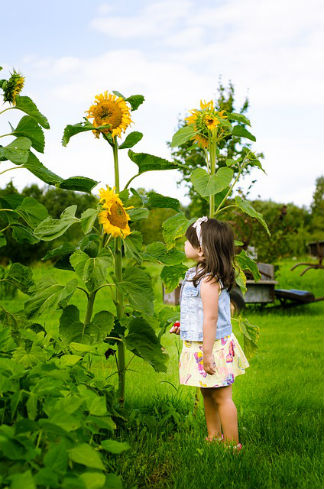 5 Tipps So Gestalten Sie Ihren Garten Kinderfreundlich