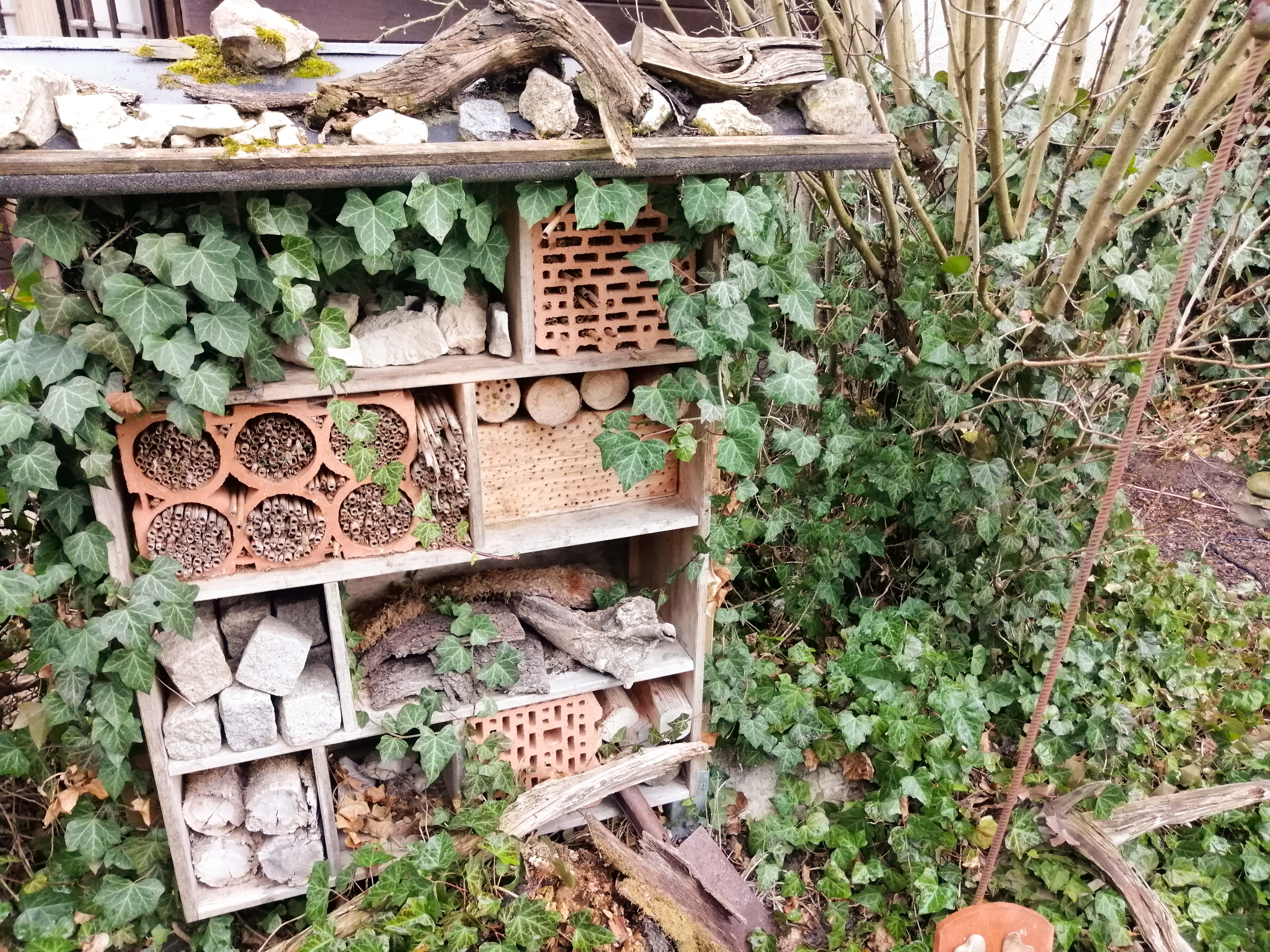 Insektenhotel Bauen Material Standort Anleitung