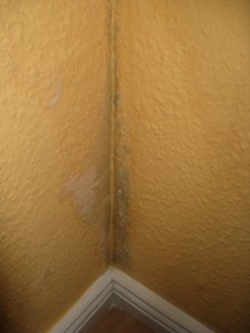 Eine Ecke eines Raums mit gelber, strukturiert gestrichener Wand. In der Ecke sind Anzeichen von Feuchtigkeit sichtbar, da dunkle Flecken von Schimmelbildung vorhanden sind. Unten ist eine weiße Sockelleiste über einem Holzfußboden zu sehen.
