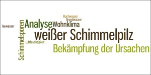 Weißer Schimmel findet sich überall im Haus und kann verschiedene Ursachen haben. © Maler.org
