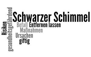 Schwarzer Schimmel
