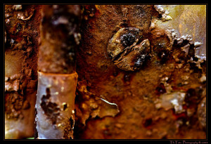 Korrosionsschutzmittel