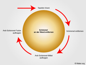 Schimmel-an-der-Wand-entfernen