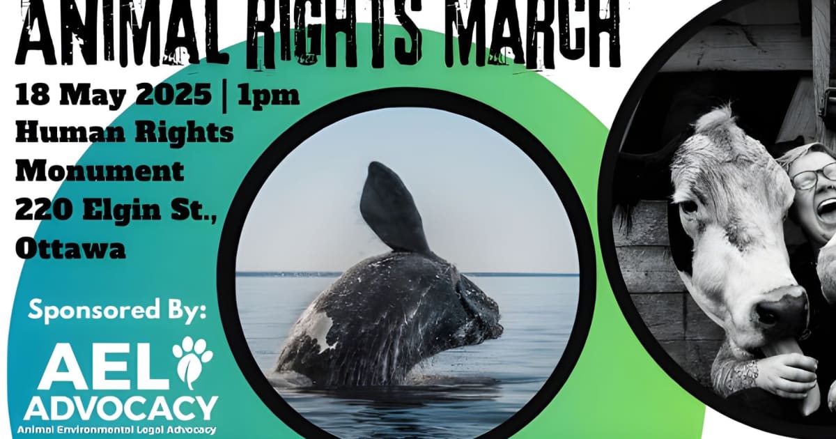 Marchforanimals Ottawa March for Animal Rights