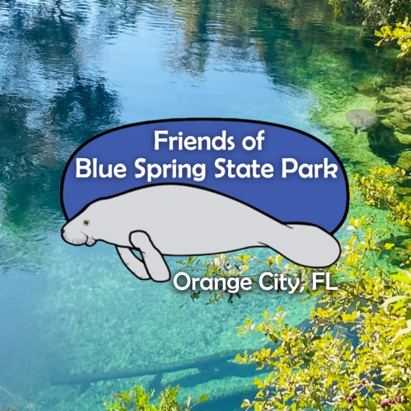 A cartoon manatee swims in the clear blue water of Blue Spring State Park, with lush green foliage framing the scene.