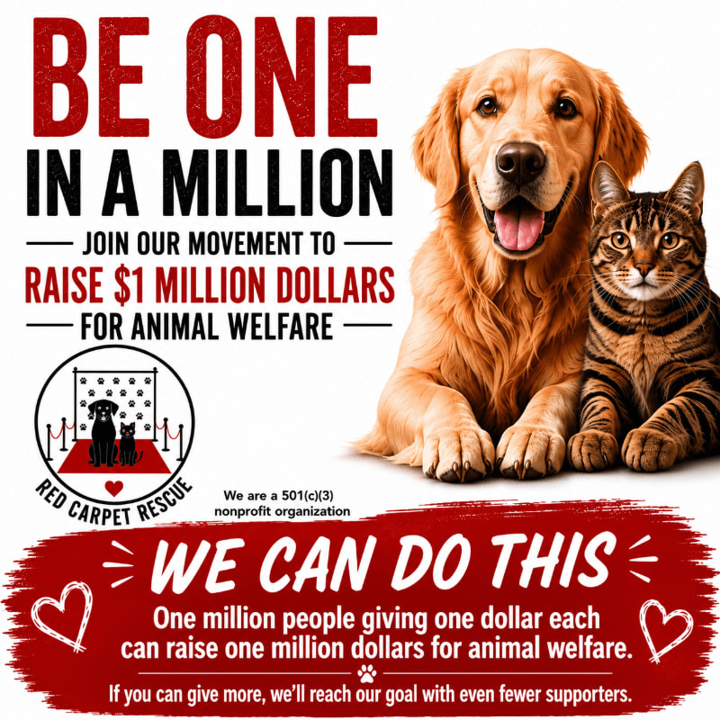 A golden retriever and a tabby cat pose in the foreground, while bold red text in the background urges viewers to join a movement to raise $1 million for animal welfare.