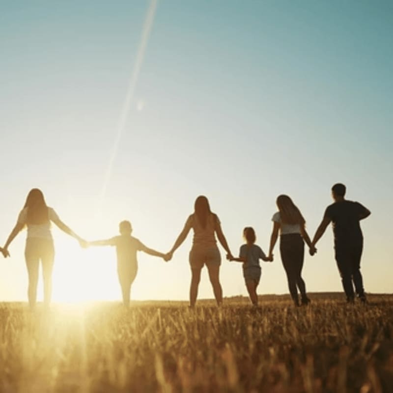 Silhouetted figures of a family hold hands in a grassy field against a bright, sunlit sky.