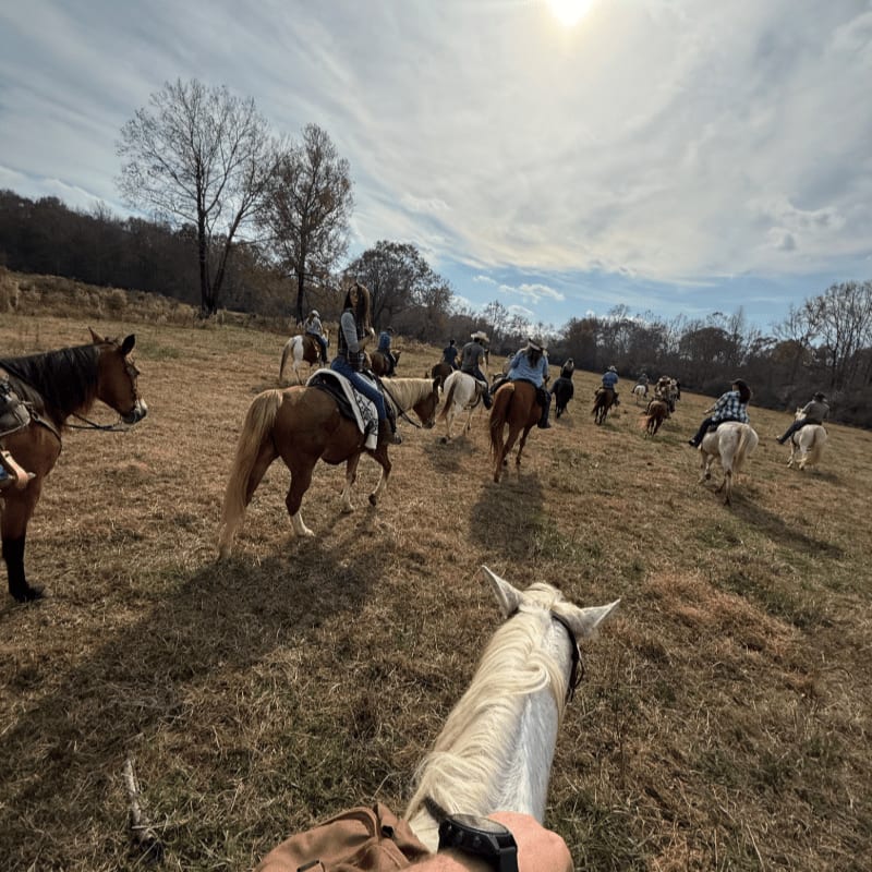 A group of people on horseback ride through a dry, grassy field with trees and a bright sun in the background.