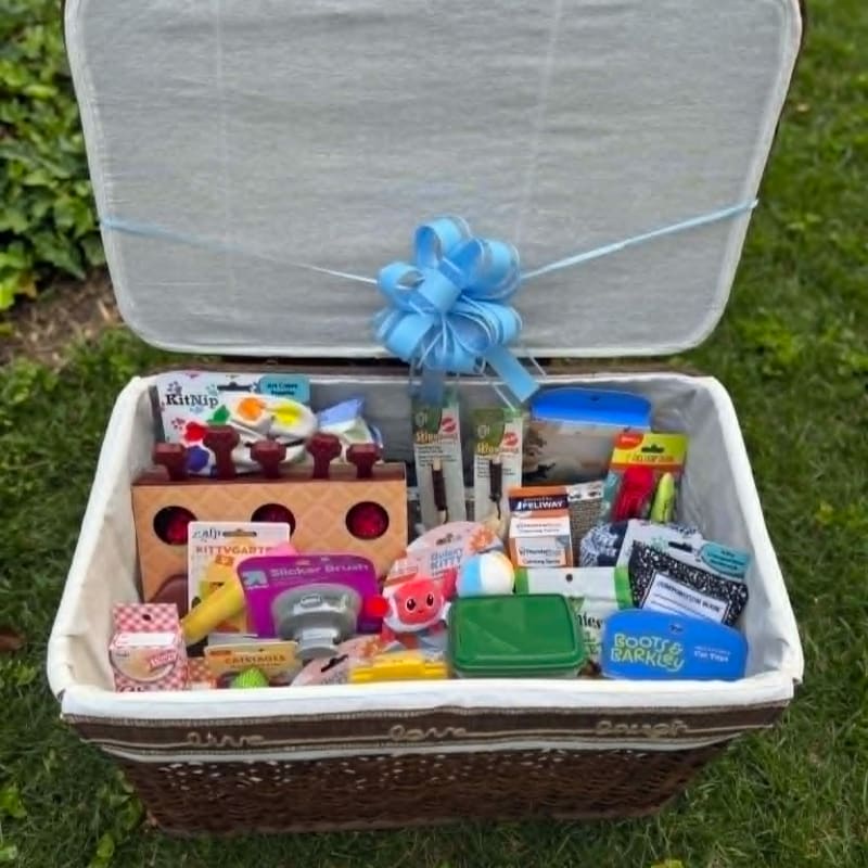 A wicker picnic basket overflowing with pet toys and treats sits open on green grass, with a light blue bow on its lid.