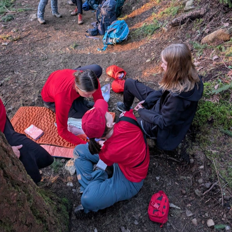 In the foreground, people in red and black jackets sit on the ground with backpacks and a first-aid kit, while the background shows a wooded area with trees and mossy ground.
