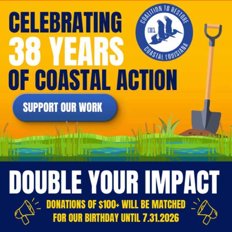 A shovel stands in green marsh grass with water in the foreground, against a bright yellow background advertising "Celebrating 38 Years of Coastal Action" and "Double Your Impact" for donations.