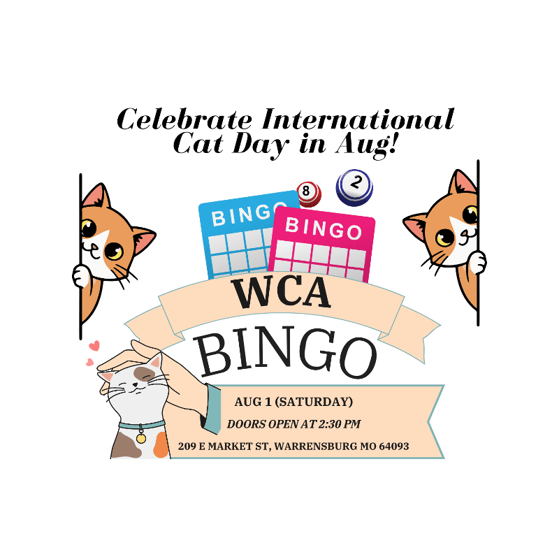 Cute cartoon cats frame a WCA Bingo announcement for International Cat Day in August, with event details listed on a banner.